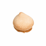 Biscotto the