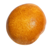 Brioche